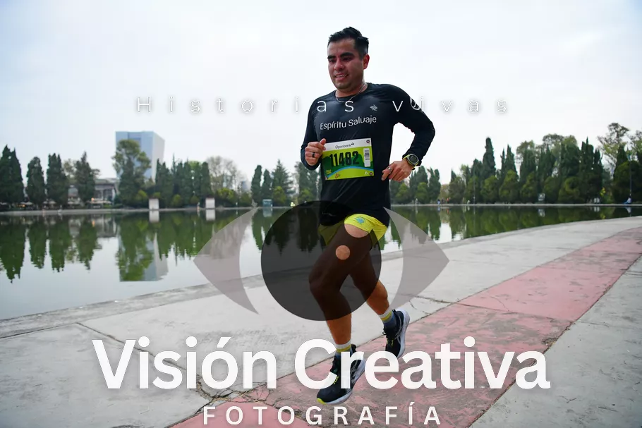 Foto del evento Shrek - CDMX 2026
