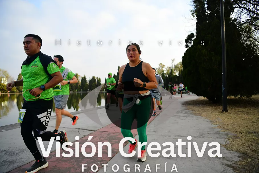 Foto del evento Shrek - CDMX 2026