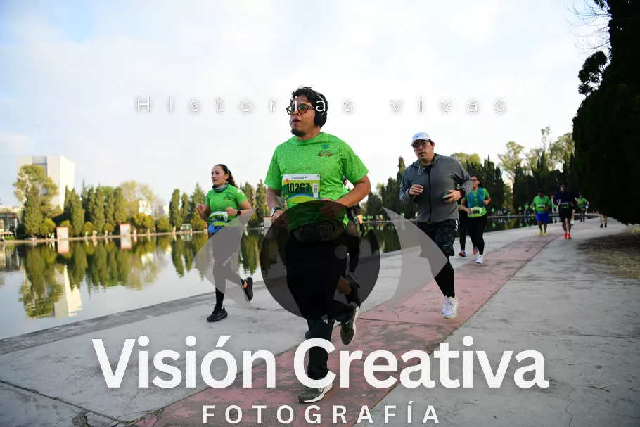 Foto del evento Shrek - CDMX 2026