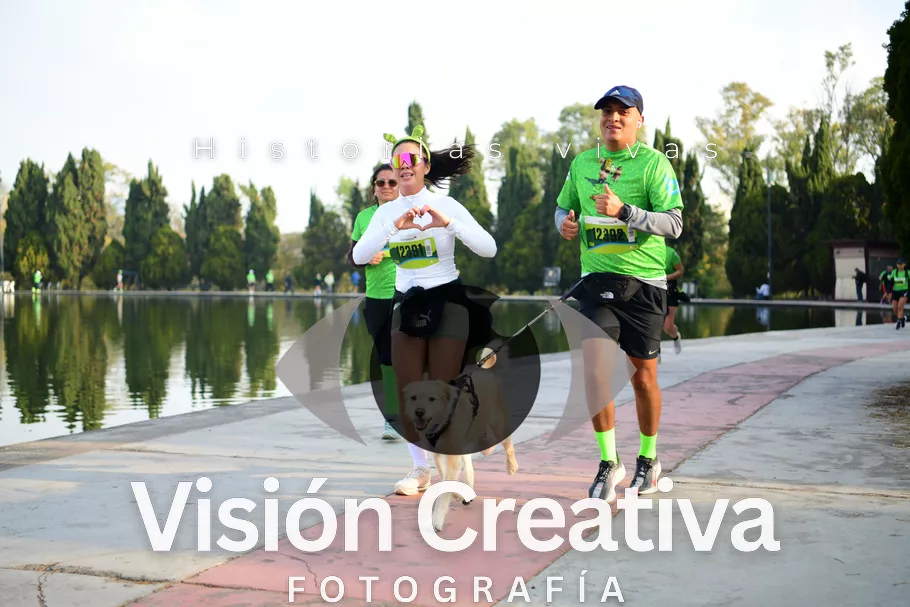 Foto del evento Shrek - CDMX 2026