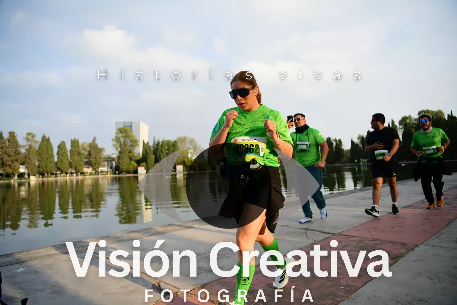 Foto del evento Shrek - CDMX 2026
