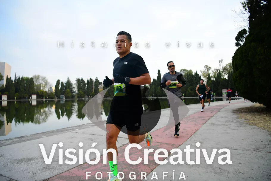 Foto del evento Shrek - CDMX 2026