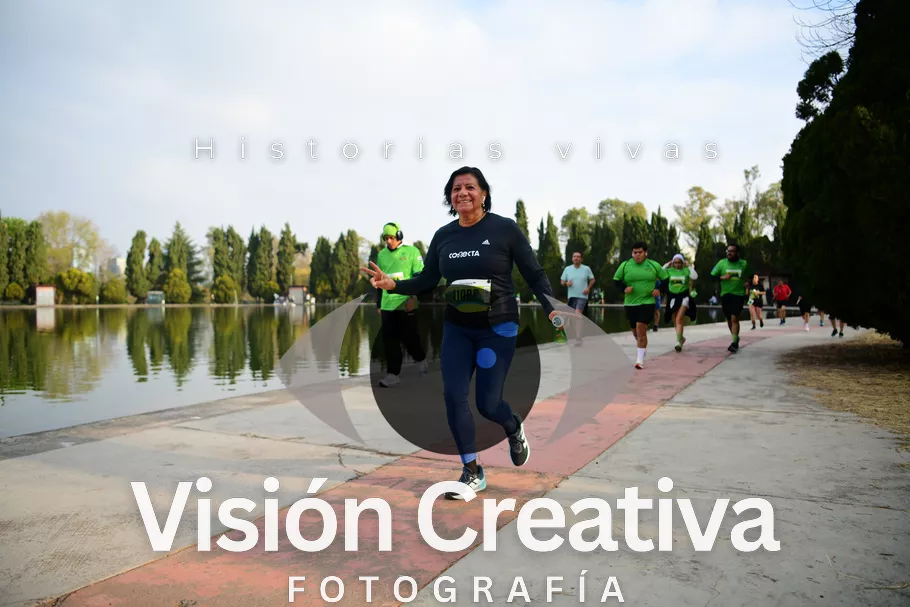 Foto del evento Shrek - CDMX 2026