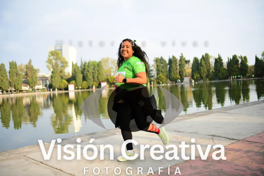 Foto del evento Shrek - CDMX 2026
