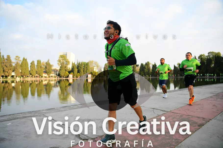 Foto del evento Shrek - CDMX 2026