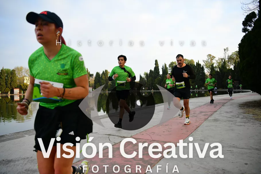 Foto del evento Shrek - CDMX 2026