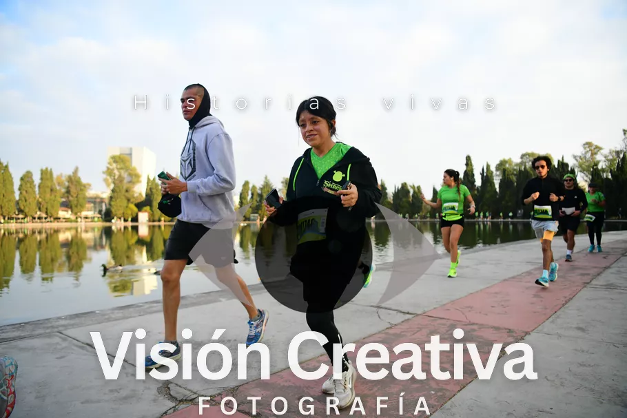 Foto del evento Shrek - CDMX 2026