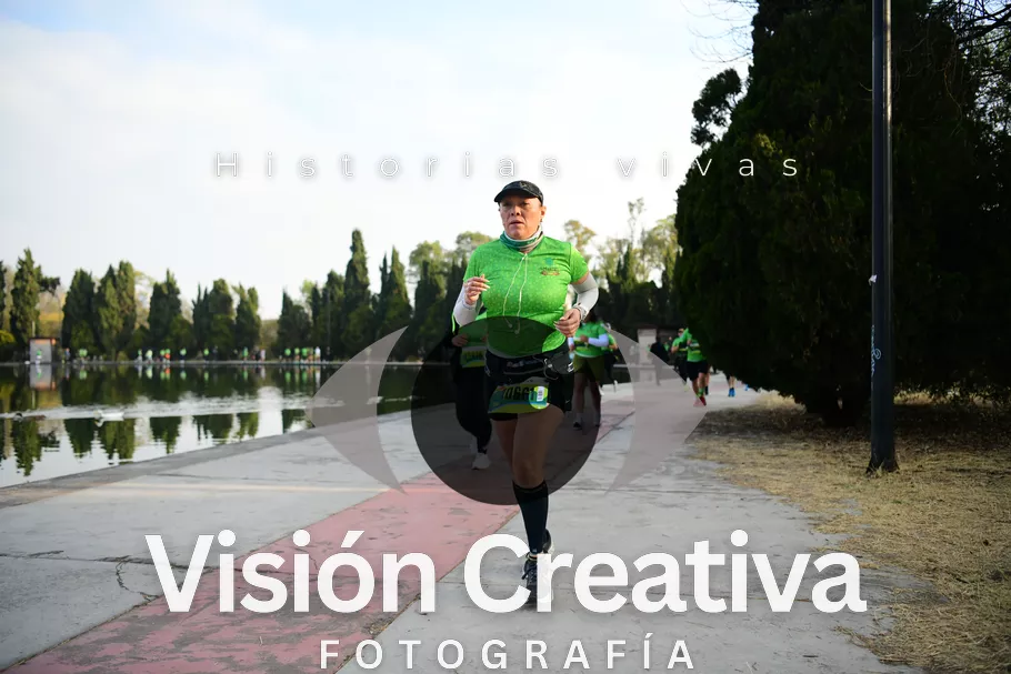 Foto del evento Shrek - CDMX 2026