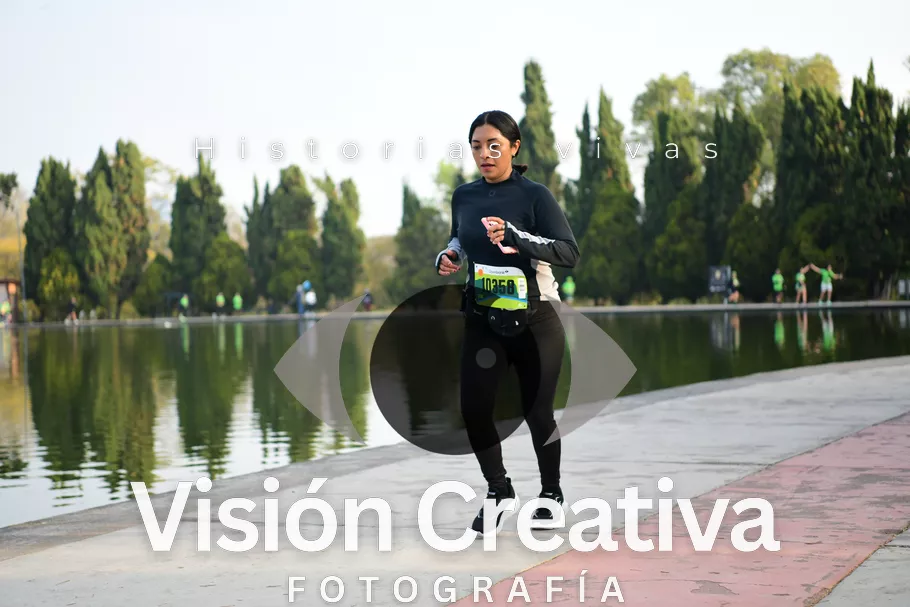 Foto del evento Shrek - CDMX 2026