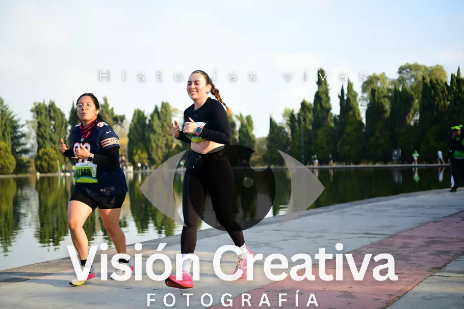 Foto del evento Shrek - CDMX 2026