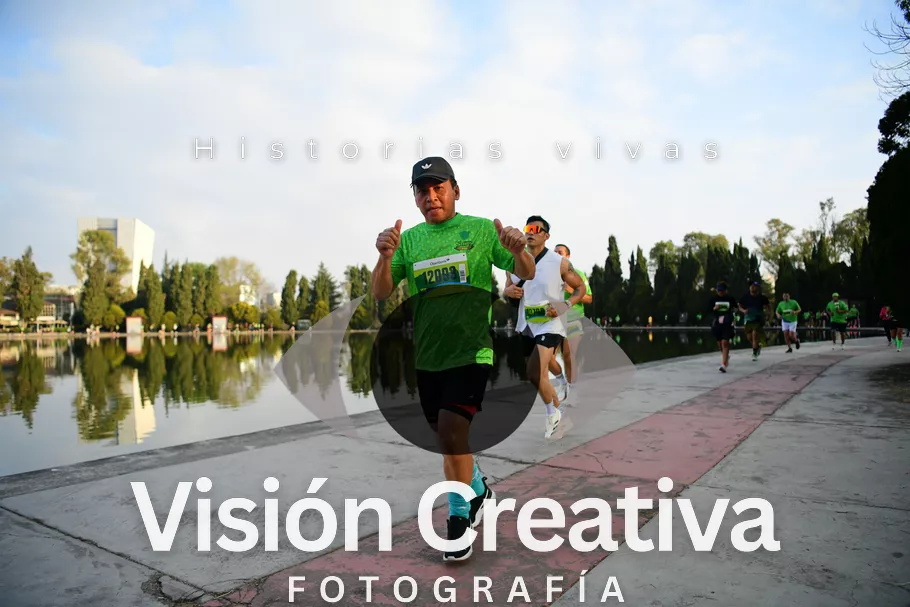 Foto del evento Shrek - CDMX 2026