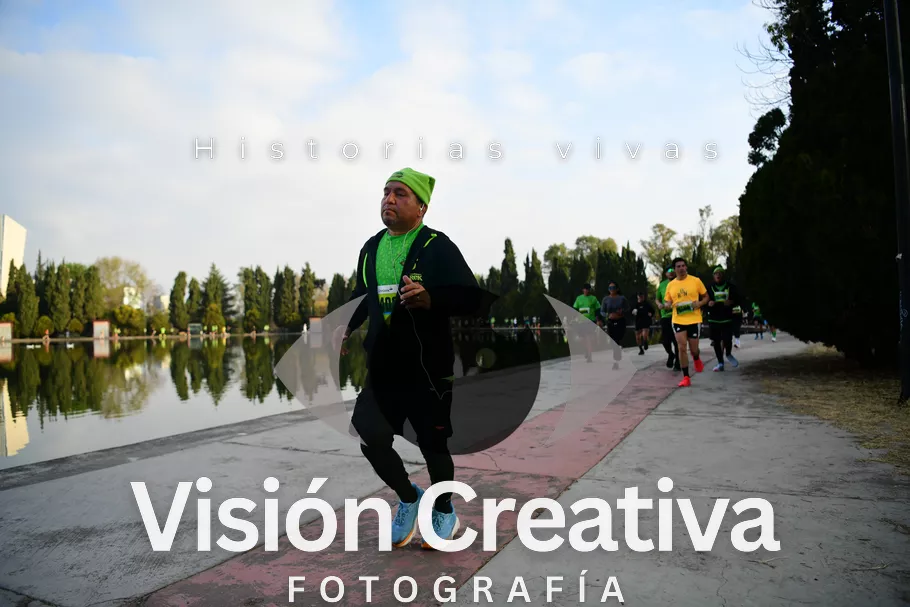 Foto del evento Shrek - CDMX 2026