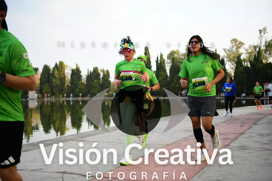 Foto del evento Shrek - CDMX 2026