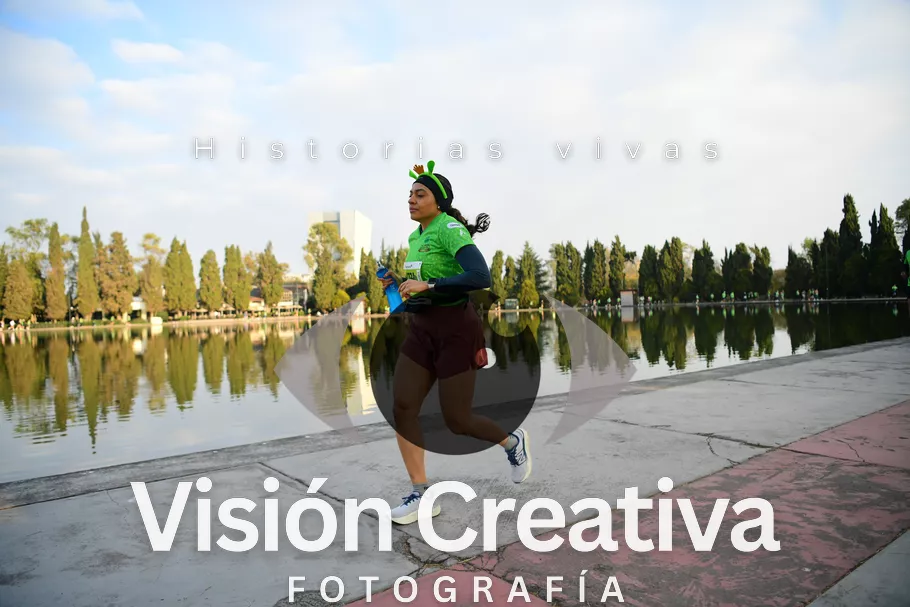 Foto del evento Shrek - CDMX 2026