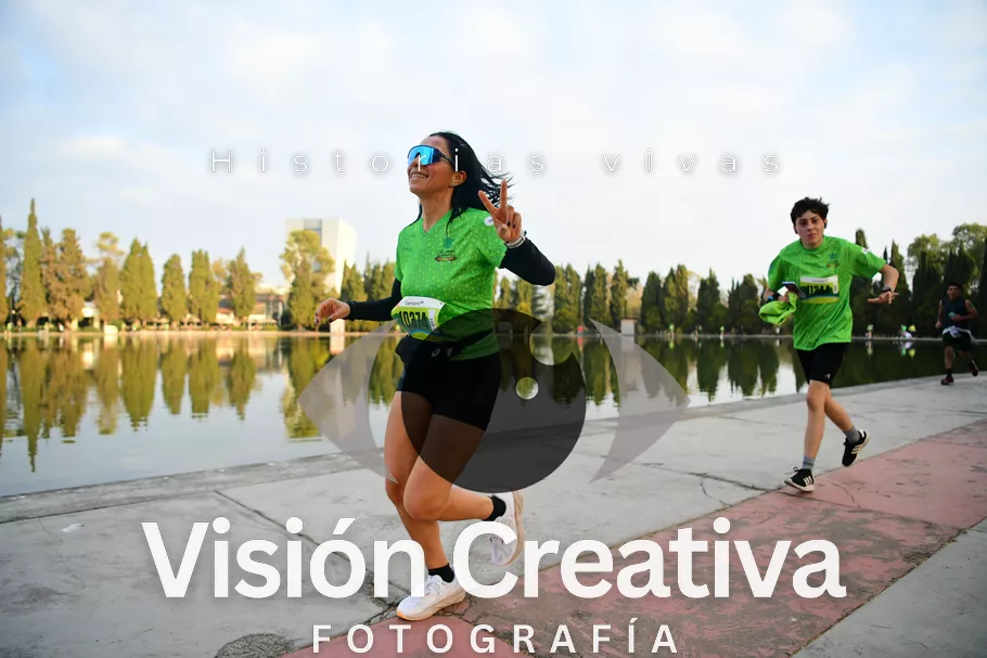 Foto del evento Shrek - CDMX 2026