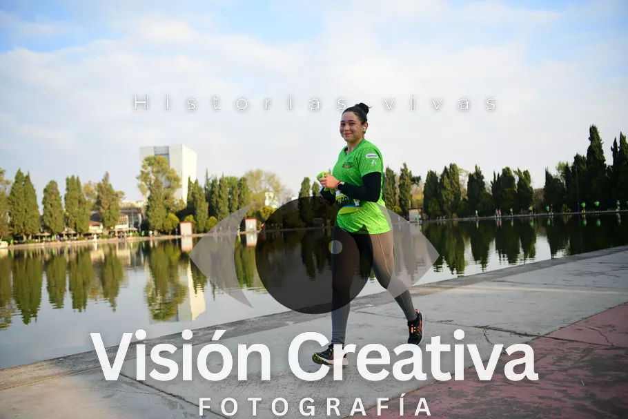 Foto del evento Shrek - CDMX 2026