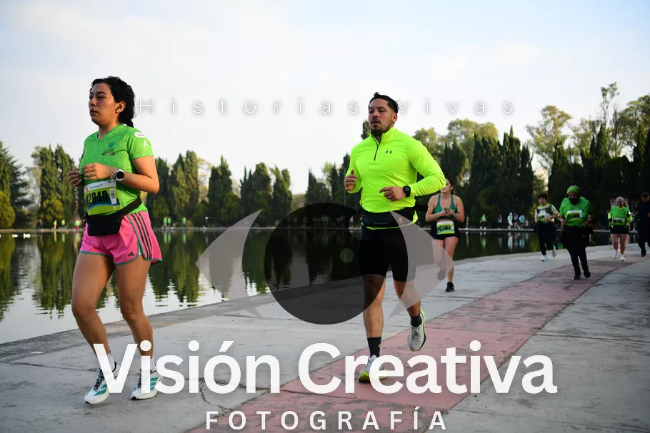 Foto del evento Shrek - CDMX 2026