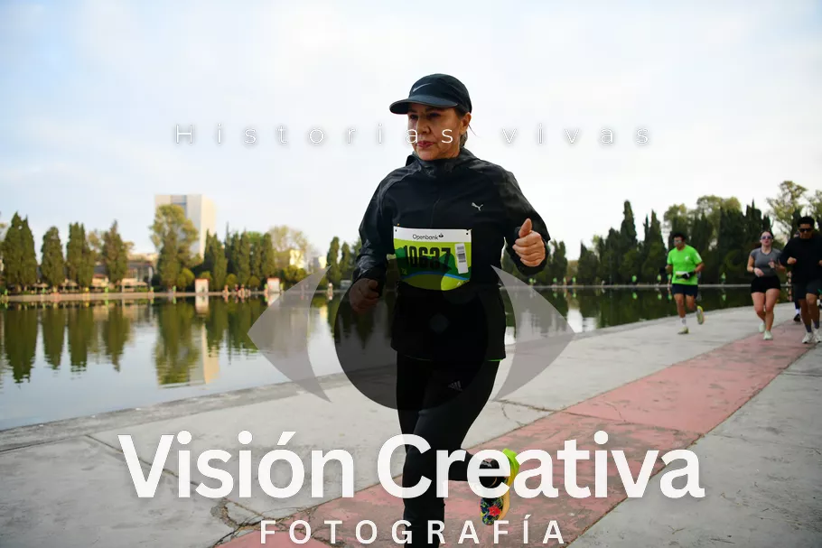 Foto del evento Shrek - CDMX 2026