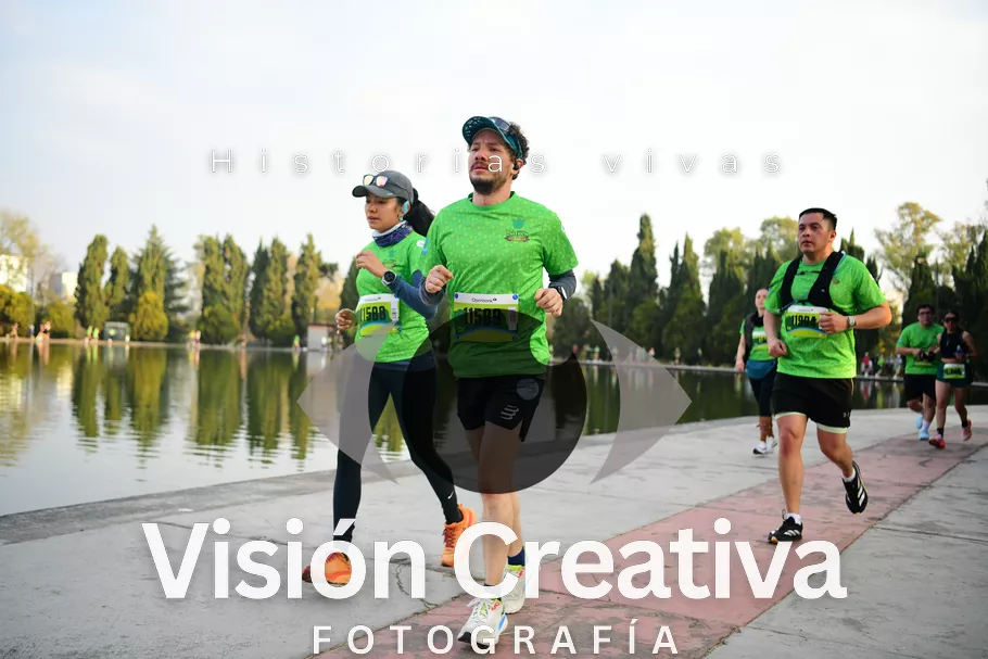 Foto del evento Shrek - CDMX 2026