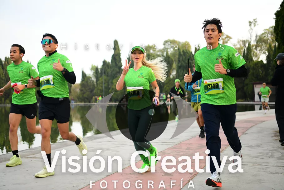 Foto del evento Shrek - CDMX 2026