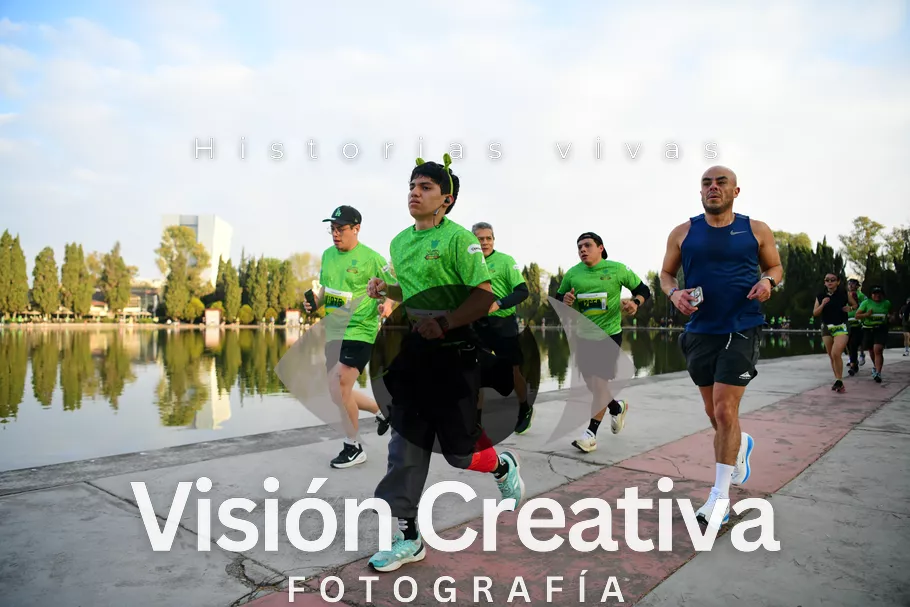 Foto del evento Shrek - CDMX 2026