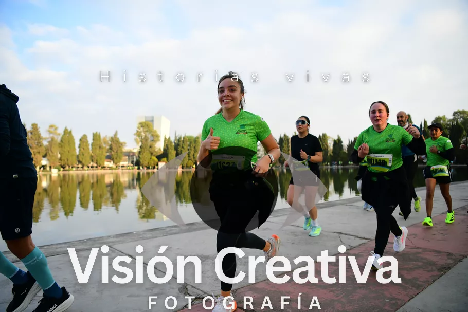 Foto del evento Shrek - CDMX 2026