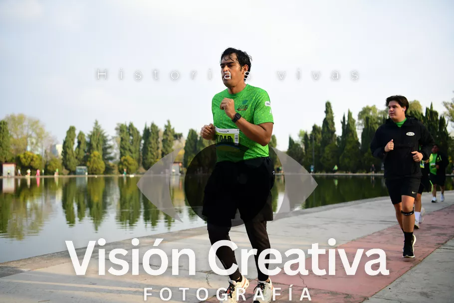 Foto del evento Shrek - CDMX 2026