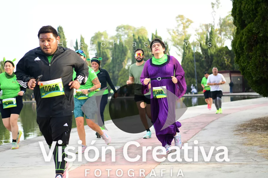 Foto del evento Shrek - CDMX 2026