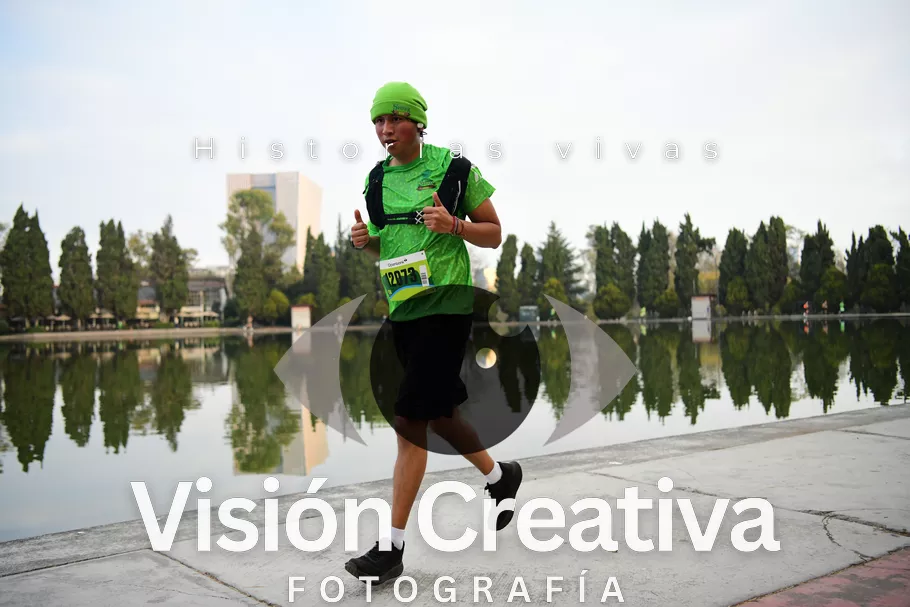 Foto del evento Shrek - CDMX 2026