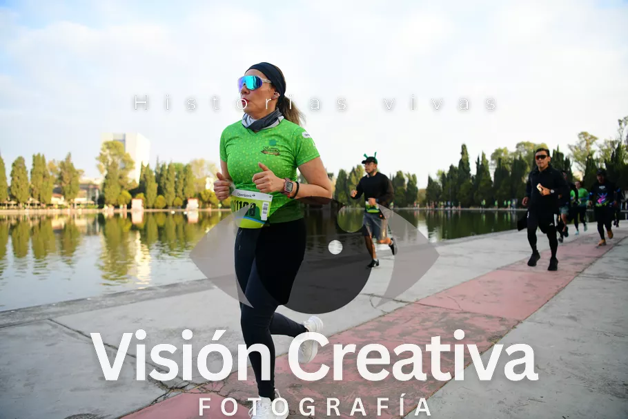 Foto del evento Shrek - CDMX 2026