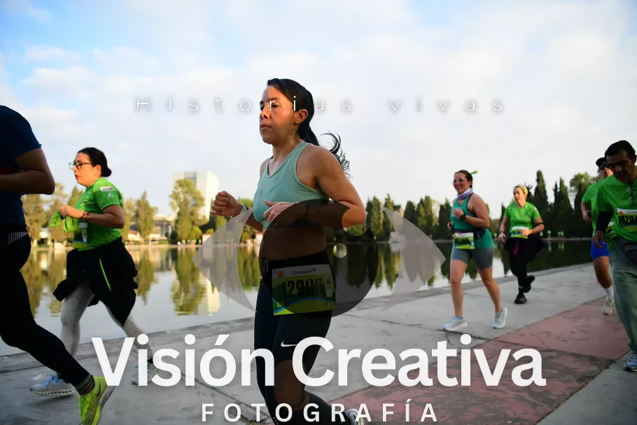 Foto del evento Shrek - CDMX 2026