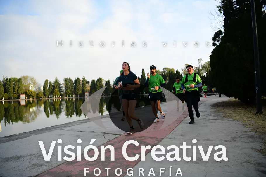 Foto del evento Shrek - CDMX 2026