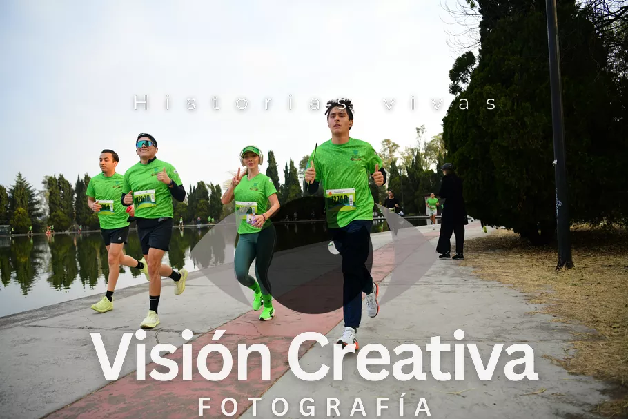 Foto del evento Shrek - CDMX 2026