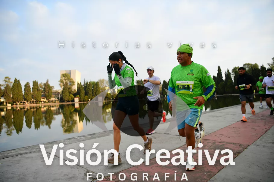 Foto del evento Shrek - CDMX 2026