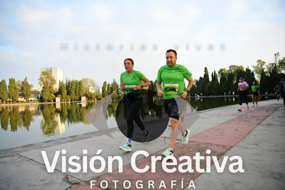 Foto del evento Shrek - CDMX 2026