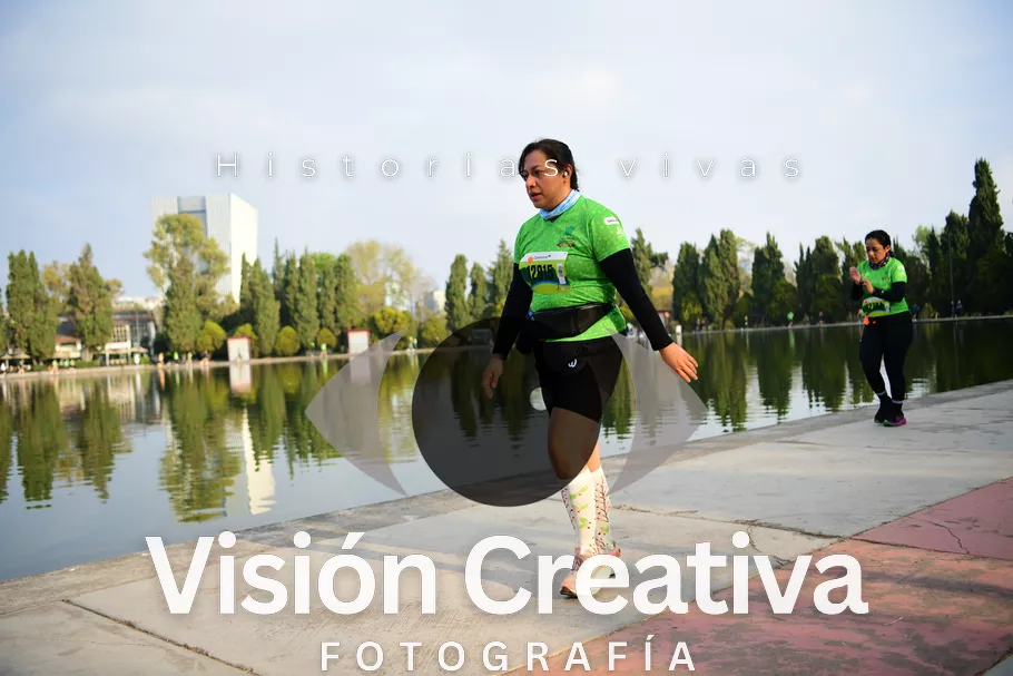 Foto del evento Shrek - CDMX 2026