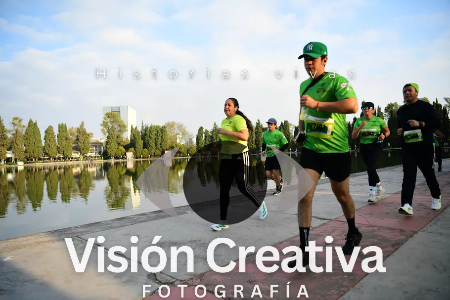 Foto del evento Shrek - CDMX 2026