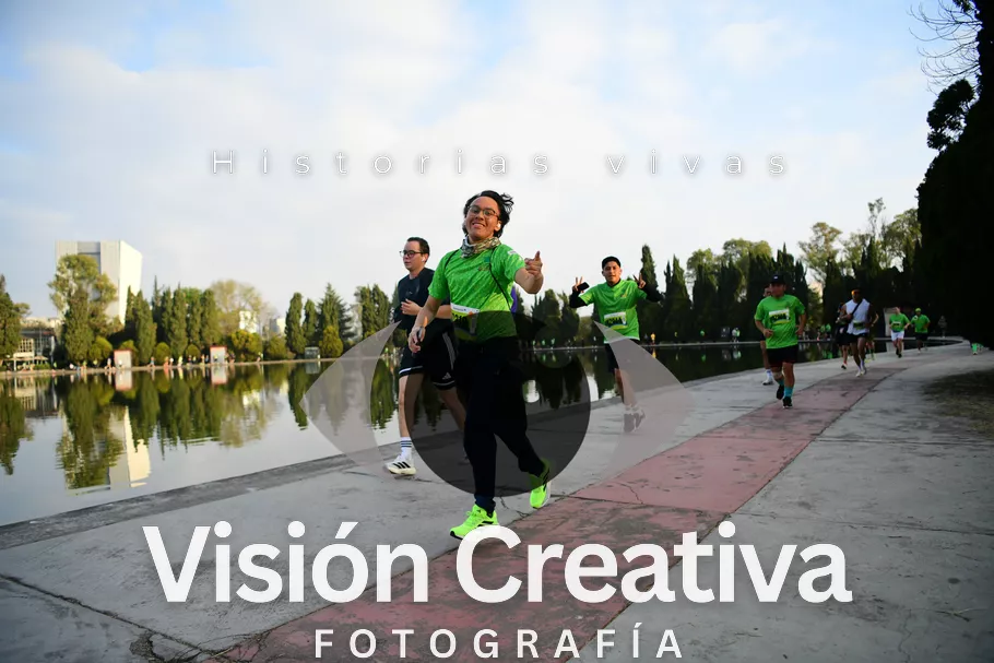 Foto del evento Shrek - CDMX 2026