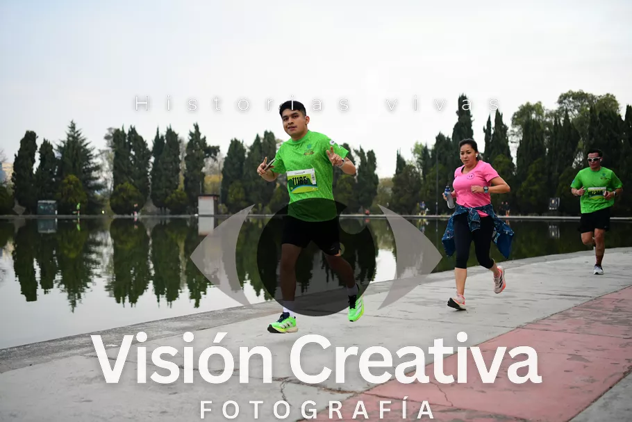 Foto del evento Shrek - CDMX 2026