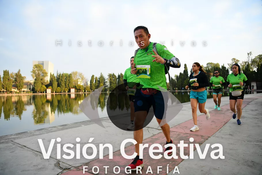 Foto del evento Shrek - CDMX 2026