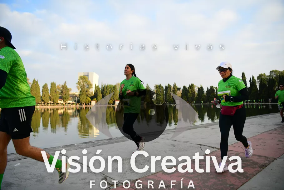 Foto del evento Shrek - CDMX 2026