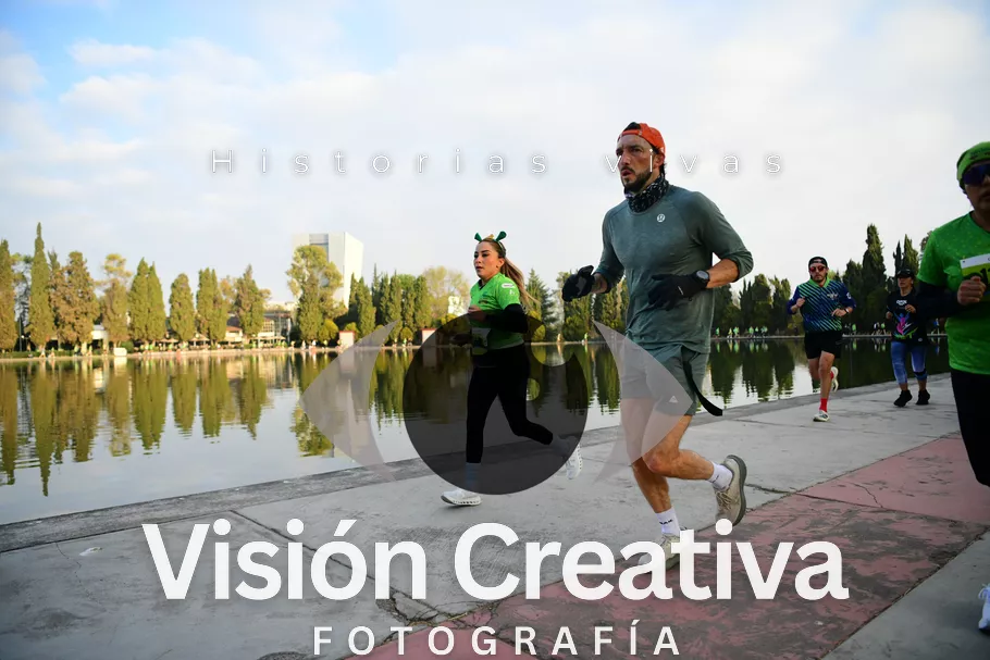 Foto del evento Shrek - CDMX 2026