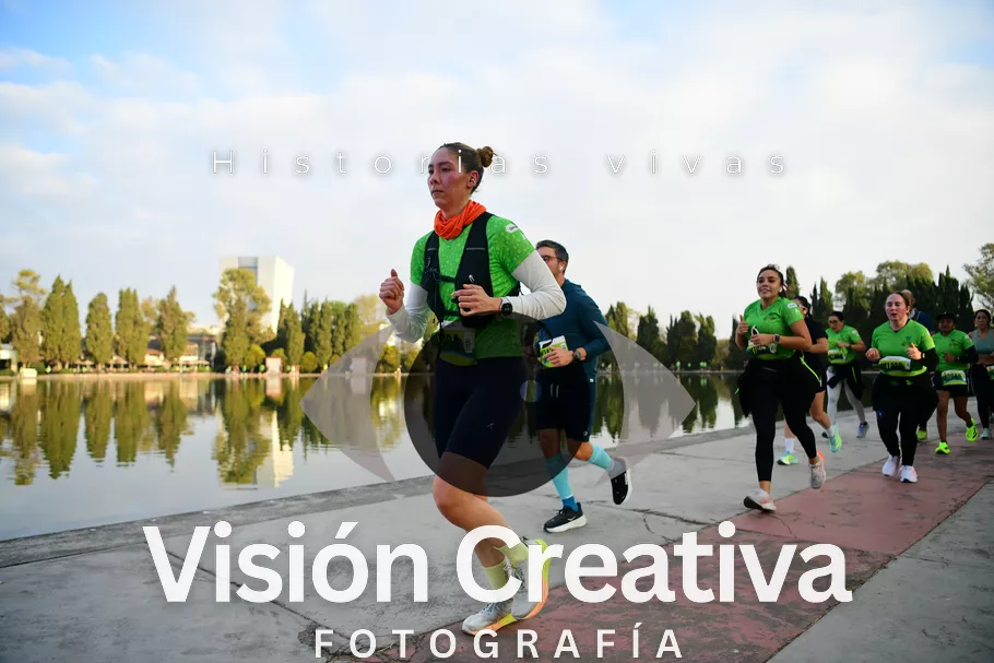 Foto del evento Shrek - CDMX 2026