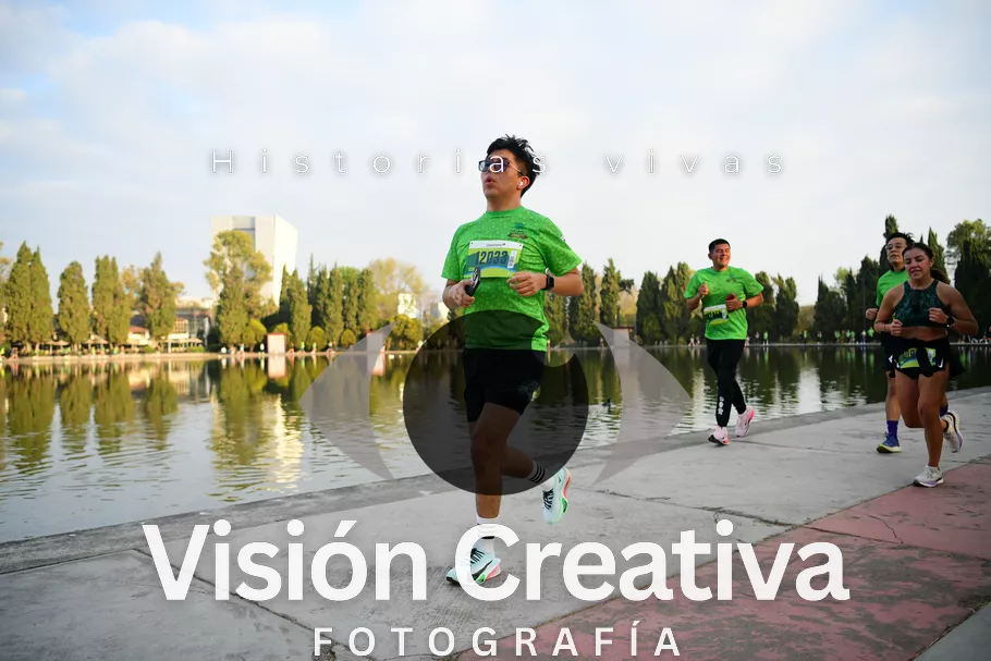 Foto del evento Shrek - CDMX 2026