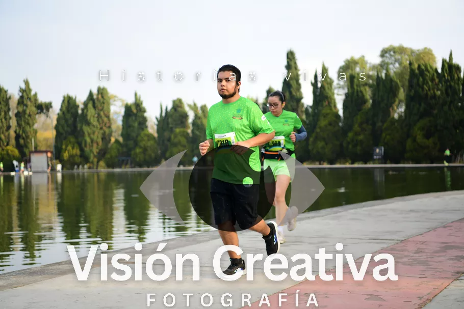 Foto del evento Shrek - CDMX 2026
