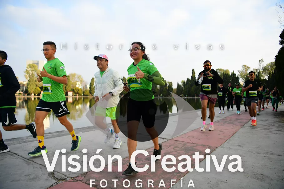 Foto del evento Shrek - CDMX 2026