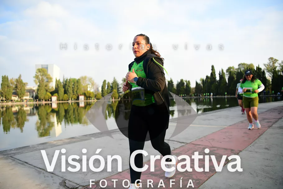 Foto del evento Shrek - CDMX 2026