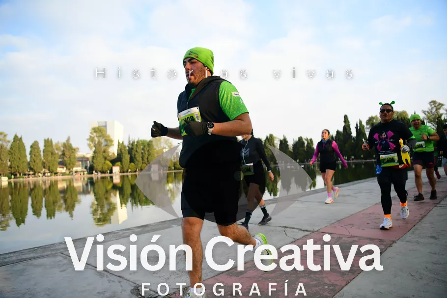 Foto del evento Shrek - CDMX 2026