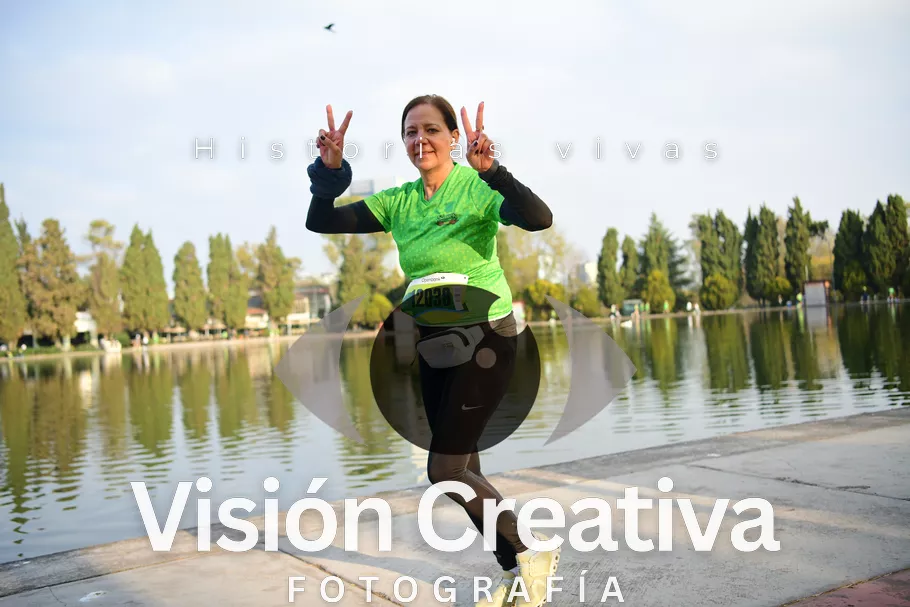 Foto del evento Shrek - CDMX 2026