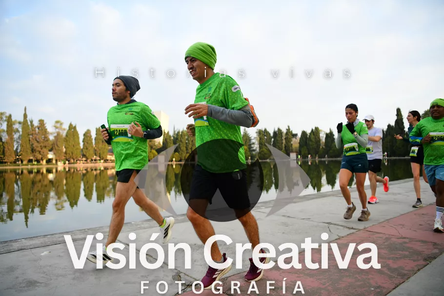 Foto del evento Shrek - CDMX 2026